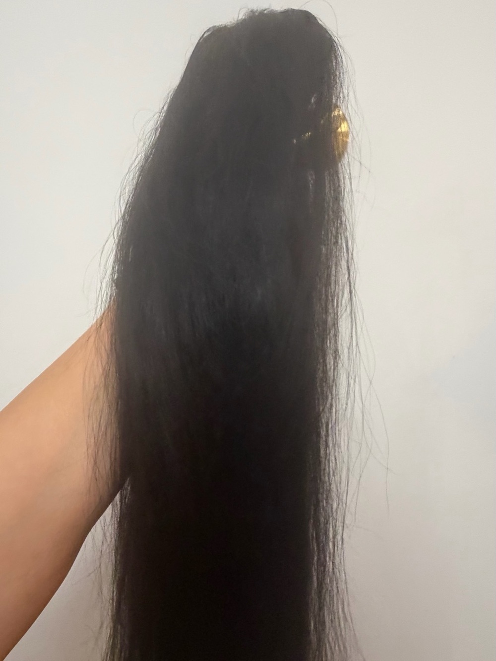 BELLAMI Black Clip-In Straight 100% Hair Extension used only once